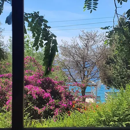 Toneda Seaside Dhërmi