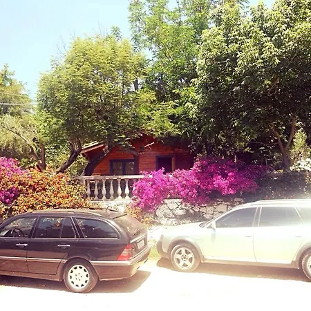 Toneda Seaside