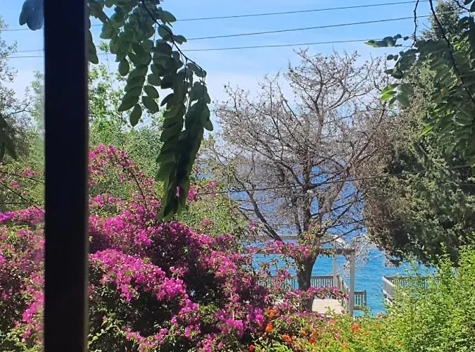 Toneda Seaside Dhërmi