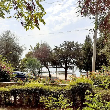 Toneda Seaside بيت خشبي *